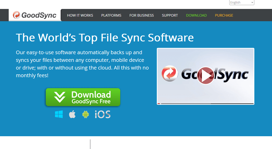 GoodSync website